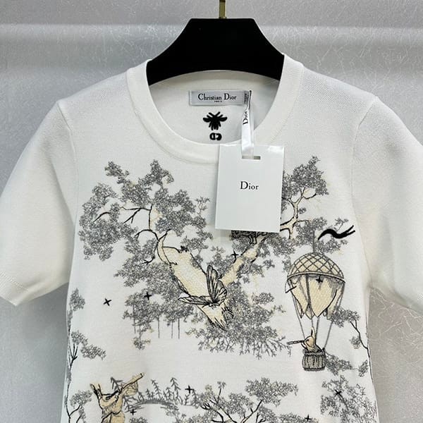 秋冬大セールディオール アイコニック Tシャツ スーパーコピー dee45962